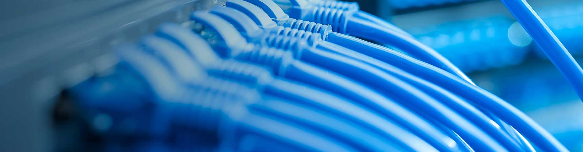 Choose from thousands of Ethernet Cables, Cat 5 Ethernet Cables, Network Cables options
