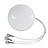 Picture for category MIMO Ceiling Antennas