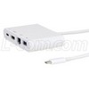 Picture for category USB 3.1 Adapters