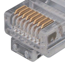 Picture of USOC Splitter, 8x8 Plug / 2 (8x4) Jacks