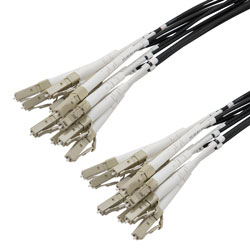 Picture of 12 Strand LC/UPC to LC/UPC 62.5/125 OM1, 6.2mm Distribution Cable, 2.0mm Breakout 0.5M, LSZH - 20M
