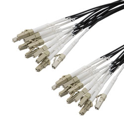 Picture of 12 Strand LC/UPC to LC/UPC 50/125 OM3, 6.2mm Distribution Cable, 2.0mm Breakout 0.5M, LSZH - 10M