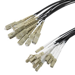 Picture of 12 Strand LC/UPC to SC/UPC 50/125 OM3, 6.2mm Distribution Cable, 2.0mm Breakout 0.5M, LSZH - 5M