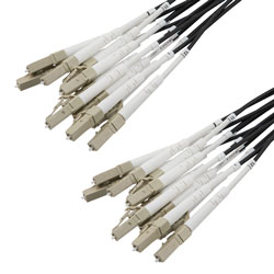 Picture of 12 Strand LC/UPC to LC/UPC 50/125 OM4, 6.2mm Distribution Cable, 2.0mm Breakout 0.5M, LSZH - 10M