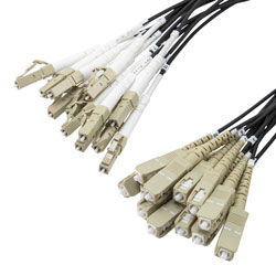 Picture of 12 Strand LC/UPC to SC/UPC 50/125 OM4, 6.2mm Distribution Cable, 2.0mm Breakout 0.5M, LSZH - 10M