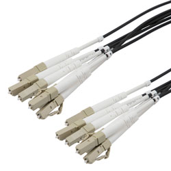Picture of 6 Strand LC/UPC to LC/UPC 50/125 OM3, 5.0mm Distribution Cable, 2.0mm Breakout 0.5M, LSZH - 20M