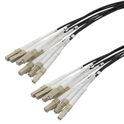 Picture of 8 Strand LC/UPC to LC/UPC 62.5/125 OM1, 5.6mm Distribution Cable, 2.0mm Breakout 0.5M, LSZH - 10M