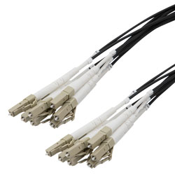 Picture of 8 Strand LC/UPC to LC/UPC 50/125 OM3, 5.6mm Distribution Cable, 2.0mm Breakout 0.5M, LSZH - 10M