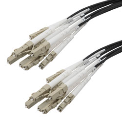 Picture of 8 Strand LC/UPC to LC/UPC 50/125 OM4, 5.6mm Distribution Cable, 2.0mm Breakout 0.5M, LSZH - 10M