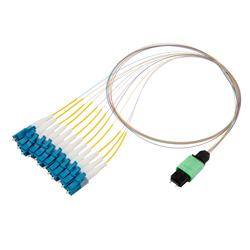 Picture of Patch Cord Single Mode OS2 12 Cores MPO Male to LC/UPC 0.25mm PVC 12 Color 0.5M
