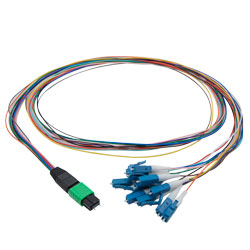 Picture of Patch Cord Single Mode OS2 12 Cores MPO Male to LC/UPC 0.9mm PVC 12 Color 1M