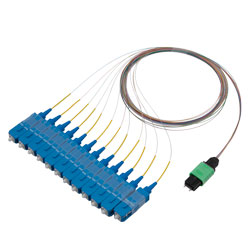 Picture of Patch Cord Single Mode OS2 12 Cores MPO Male to SC/UPC 0.25mm PVC 12 Color 1M