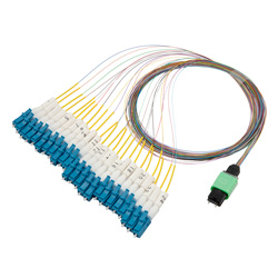 Picture of Patch Cord Single Mode OS2 24 Cores MPO Male to LC/UPC 0.25mm PVC Color with number ring 1M