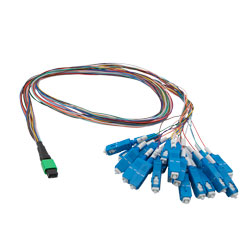 Picture of Patch Cord Single Mode OS2 24 Cores MPO Male to SC/UPC 0.9mm PVC Color with number ring 1M