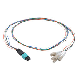 Picture of Patch Cord Multimode OM2 6 Cores MPO Male to LC/UPC 0.9mm PVC 6 Color 1M