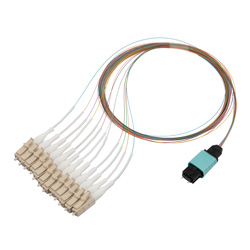 Picture of Patch Cord Multimode OM2 12 Cores MPO Male to LC/UPC 0.25mm PVC 12 Color 1M
