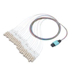 Picture of Patch Cord Multimode OM2 24 Cores MPO Male to LC/UPC 0.25mm PVC colored with number ring 1M
