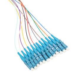Picture of 12 Fiber LC/UPC Distribution Style Pigtail, SM, Blue Boots