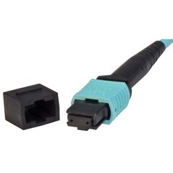 Picture of MPO Female to MPO Female, OM3 40G 50/125 Multimode Round Cable, OFNR Jacket, Aqua, 1.0m