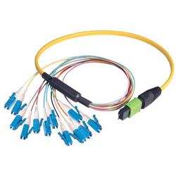 Picture of MPO Male to 12x LC Fan-out, 12 Fiber Ribbon, 9/125 Singlemode, OFNR Jacket, Yellow, 0.5m