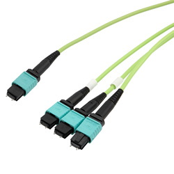 Picture of MPO24 w/ pins to 3xMPO8 w/ pins, OM5 50/125um Multimode, ONFR Jacket, Lime Green, 1 meter