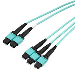 Picture of 3xMPO8 w/ pins to 2xMPO12 w/ pins, OM4 50/125um Multimode, ONFR Jacket, Aqua, 10 meter