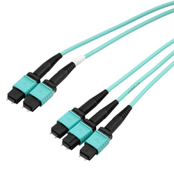 Picture of 3xMPO8 w/ pins to 2xMPO12 w/ pins, OM4 50/125um Multimode, ONFR Jacket, Aqua, 1 meter