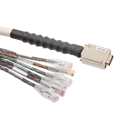 Rj21 to rj45 on sale patch panel