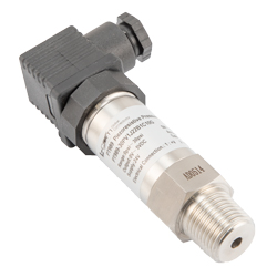 Picture of Pressure Transmitter, 0-30psi, 0-5V out, 11-28V, Stainless 316L, NPT1/2 M, DIN 43650, Plug, Gauge