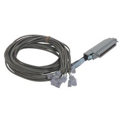 Picture of Cat. 3 Telco Breakout Cable, Female Telco / 12 (6x4), 3.0 ft