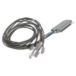 Picture of Cat. 3 Telco Breakout Cable, Female Telco / 6 (8x8), 3.0 ft