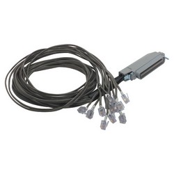 Picture of Cat. 3 Telco Breakout Cable, Male Telco / 12 (6x4), 3.0 ft