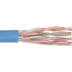 Picture of Category 6 UTP Plenum Rated 23 AWG 4-Pair Solid Conductor Blue, 1KFT