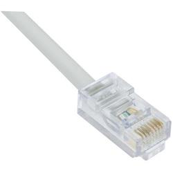 Picture of Category 6 Plenum Patch Cable, RJ45 / RJ45, White, 30.0 ft