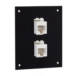 Picture of Universal Sub-Panel, 2 Category 6 Low Profile Mini-Couplers, RJ45 Straight Thru