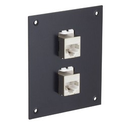 Picture of Universal Sub-Panel, 2 Shielded Category 5e Low Profile Mini-Couplers, RJ45 Straight Thru