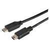 Picture of USB 2.0 Type C to Mini B Straight Connection 3 Meter