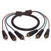 Picture of 3 Line RGB Component RCA Cable Male / Male, 2.0 ft
