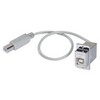 Picture of USB Type B Coupler, Female Bulkhead/Male, 12 in.