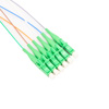 Picture of 6 Fiber LC/APC Distribution Style Pigtail, SM, Green Boots