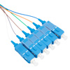 Picture of 6 Fiber SC/UPC Distribution Style Pigtail, SM, Blue Boots