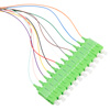 Picture of 12 Fiber SC/APC Distribution Style Pigtail, SM, Green Boots