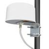 Picture of 2.4/5 GHz 4/6 dBi Dual Band Omni-Directional MIMO Antenna - RP-SMA Plug