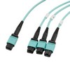 Picture of MPO24 no pins to 3xMPO8 no pins, OM3 50/125um Multimode, ONFR Jacket, Aqua, 1 meter