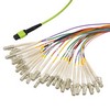 Picture of MPO w/ pins to FLC Fan-out, 24 fiber round,OM5 50/125um Mltmd, OFNR Jacket, Lime Green, 0.5 meter