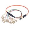 Picture of MPO Male to 12x LC Fan-out, 12 Fiber Ribbon, OM1 62.5/125 Multimode, OFNR Jacket, Orange, 10.0m