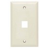 Picture of Flush Wall Plate for 1 Keystone Ivory