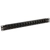 Picture of 1.75" 16 Port Panel RJ11 (6x4), Straight-Thru