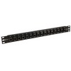 Picture of 1.75" 16 Port Panel RJ45 (8x8), Straight, Keyed