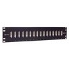 Picture of 3.50" x 19" Panel, 16 DVI Female / Female Couplers